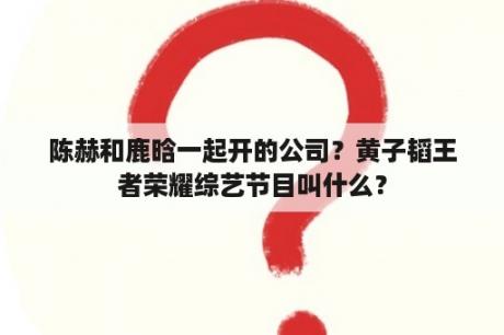 陈赫和鹿晗一起开的公司？黄子韬王者荣耀综艺节目叫什么？