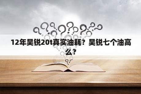 12年昊锐20t真实油耗？昊锐七个油高么？