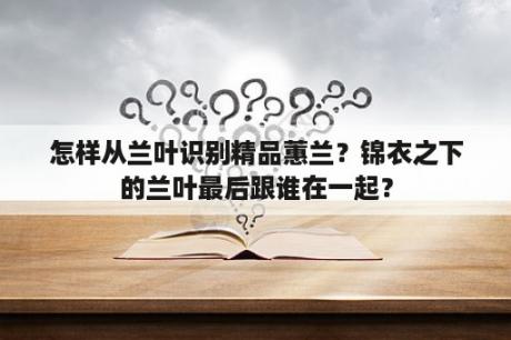 怎样从兰叶识别精品蕙兰？锦衣之下的兰叶最后跟谁在一起？