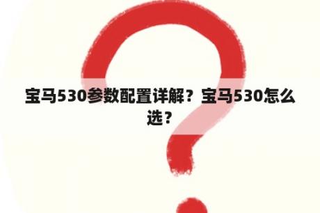 宝马530参数配置详解？宝马530怎么选？