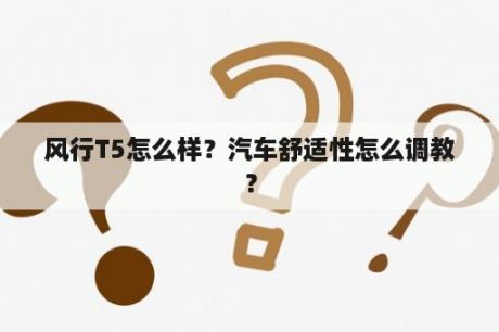 风行T5怎么样？汽车舒适性怎么调教？