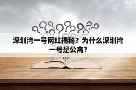 深圳湾一号网红揭秘？为什么深圳湾一号是公寓？