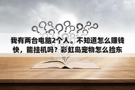 我有两台电脑2个人。不知道怎么赚钱快，能挂机吗？彩虹岛宠物怎么捡东西？