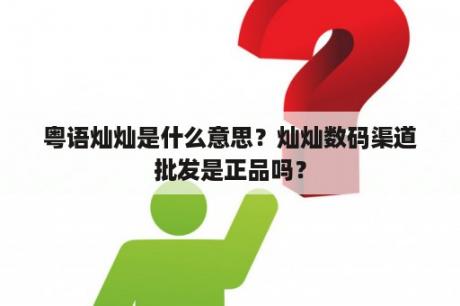 粤语灿灿是什么意思？灿灿数码渠道批发是正品吗？