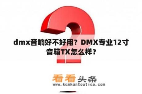 dmx音响好不好用？DMX专业12寸音箱TX怎么样？