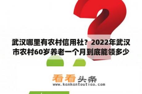 武汉哪里有农村信用社？2022年武汉市农村60岁养老一个月到底能领多少钱？