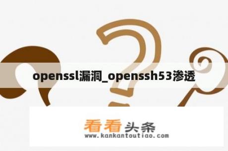 openssl漏洞_openssh53渗透