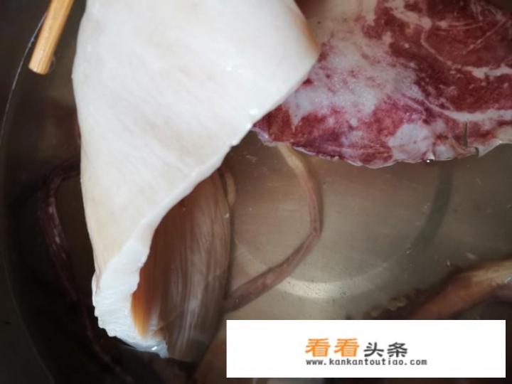 泡发鱿鱼怎么炒好吃又嫩？新鲜鱿鱼怎么炒好吃 家常做法？