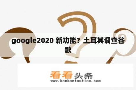 google2020 新功能？土耳其调查谷歌