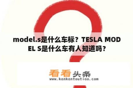 model.s是什么车标？TESLA MODEL S是什么车有人知道吗？