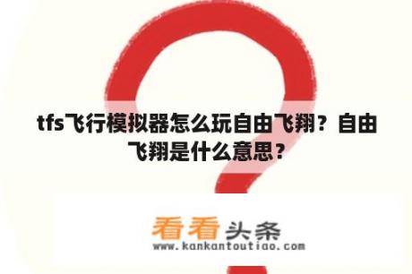 tfs飞行模拟器怎么玩自由飞翔？自由飞翔是什么意思？