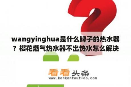 wangyinghua是什么牌子的热水器？樱花燃气热水器不出热水怎么解决？