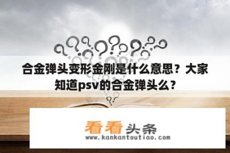 合金弹头变形金刚是什么意思？大家知道psv的合金弹头么？