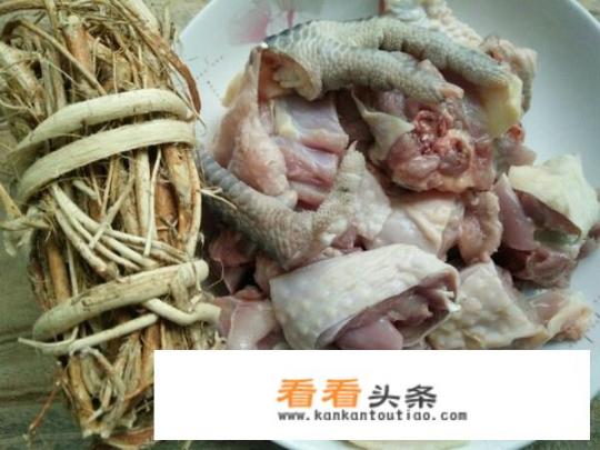 广东人五指毛桃炖鸡汤最正宗做法？五指毛桃最佳搭配？