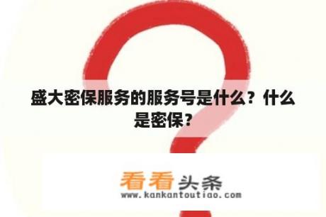 盛大密保服务的服务号是什么？什么是密保？