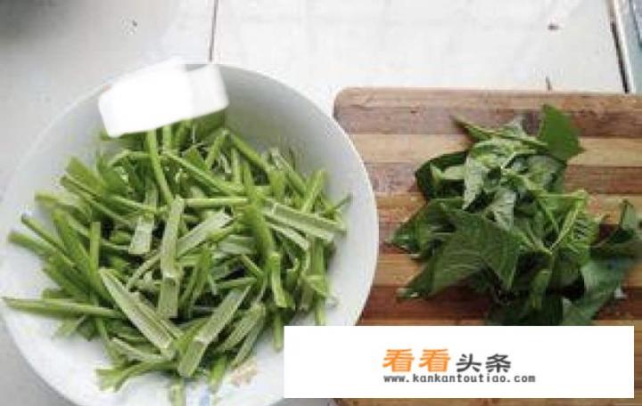 蕹菜最佳炒法？炒空心菜怎么做？