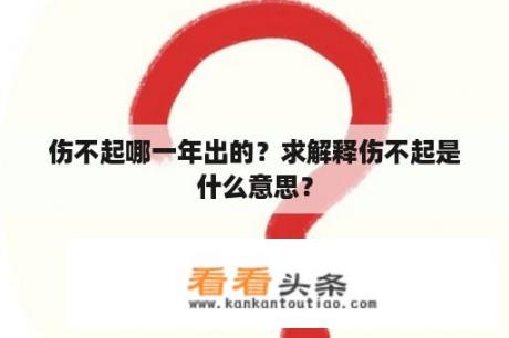 伤不起哪一年出的？求解释伤不起是什么意思？