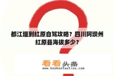 都江堰到红原自驾攻略？四川阿坝州红原县海拔多少？