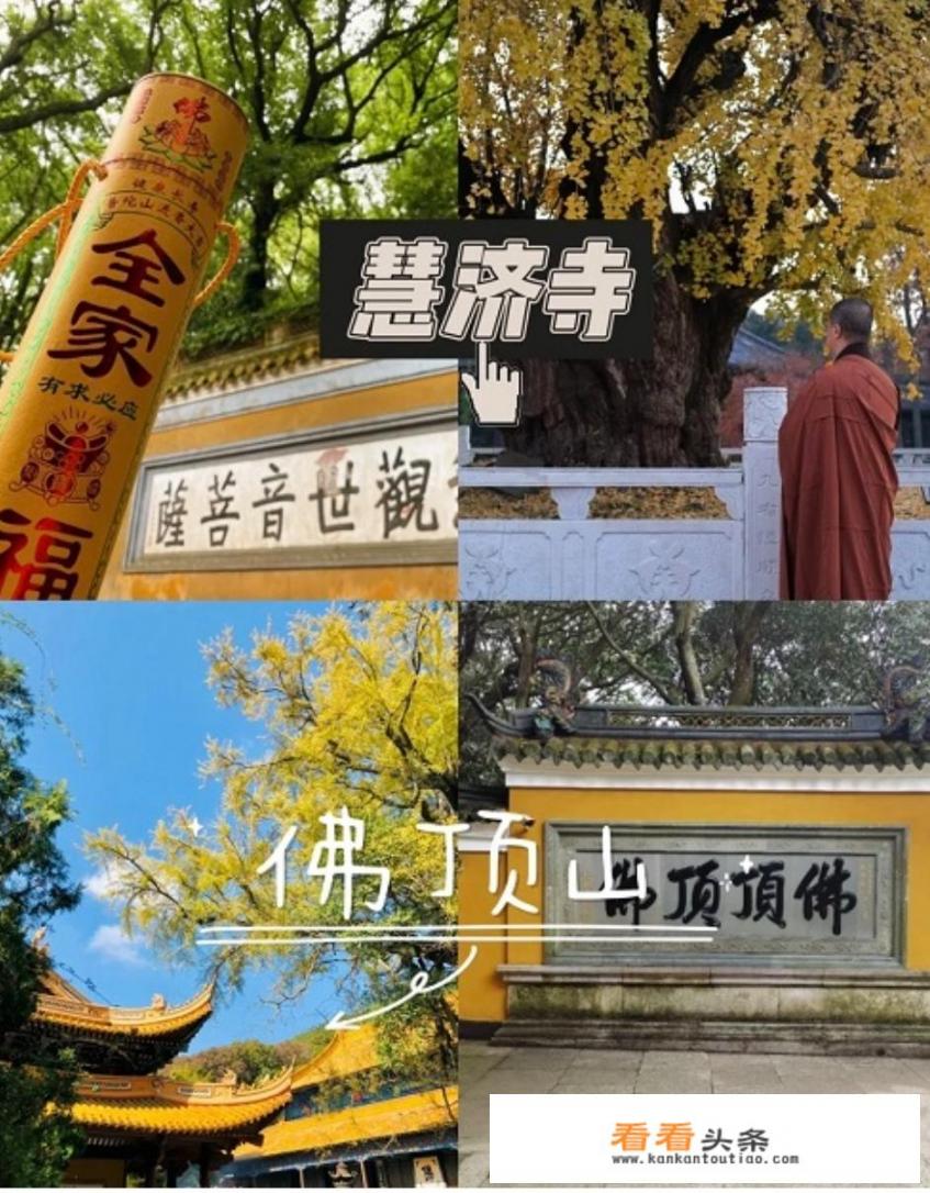 普陀山自由行路线攻略？普陀山避坑指南？