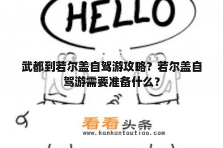 武都到若尔盖自驾游攻略？若尔盖自驾游需要准备什么？