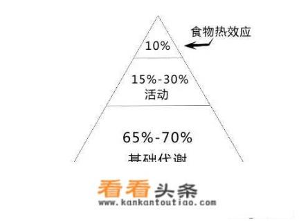 有氧健身操做40分钟减肥效果怎么样？有氧15分钟有效果吗？