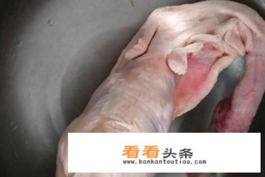 红烧鸭子肉最正宗的做法？红烧鸭肉怎么做好吃？