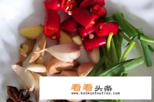 红烧鸭子肉最正宗的做法？红烧鸭肉怎么做好食？