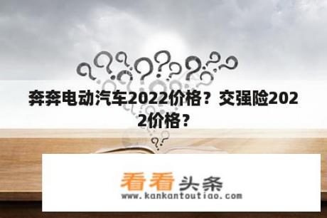 奔奔电动汽车2022价格？交强险2022价格？