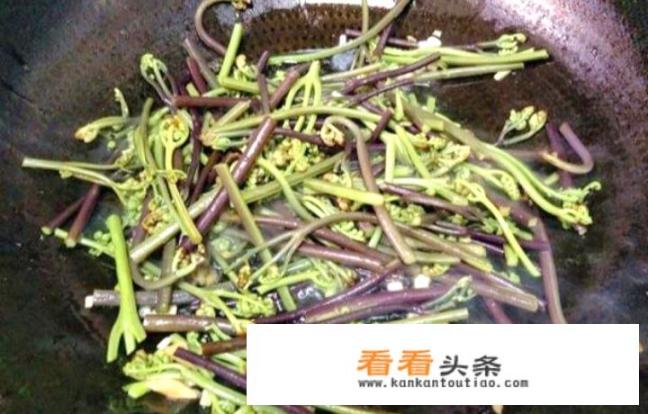 蕨菜怎样做好食？新奇蕨菜怎么？