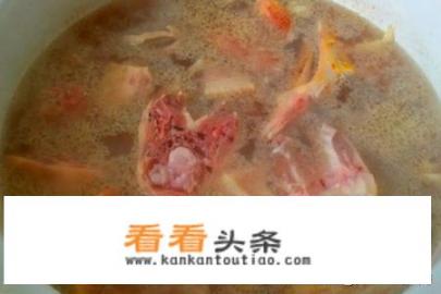 正宗卤鹅头配方？卤鹅肉的配料是什么？