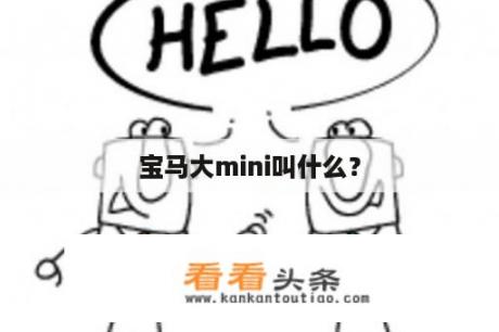 宝马大mini叫什么？