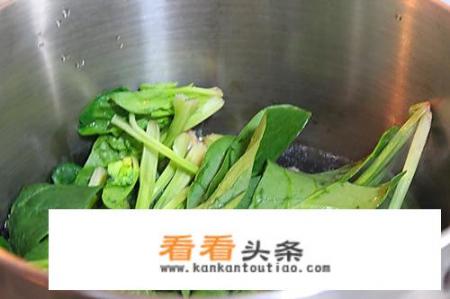 菠菜十种最佳食法？