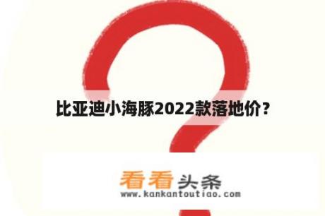 比亚迪小海豚2022款落地价？