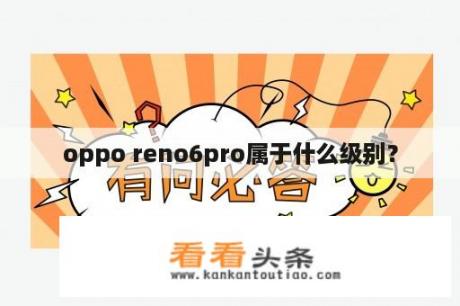 oppo reno6pro属于什么级别？