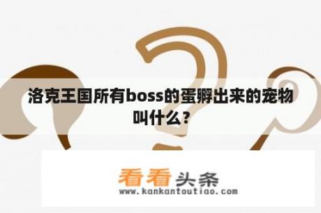 洛克王国所有boss的蛋孵出来的宠物叫什么？