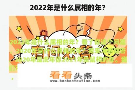 2022年是什么属相的年？