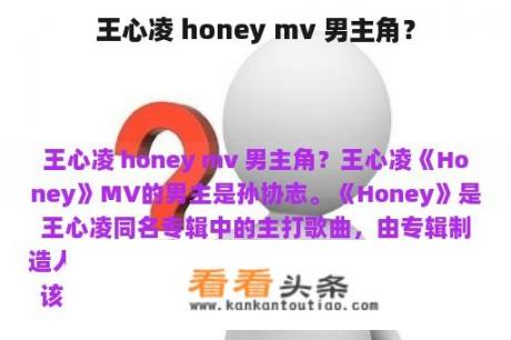 王心凌 honey mv 男主角？