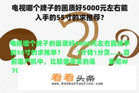 电视哪个牌子的画质好5000元左右能入手的55寸的求推荐？