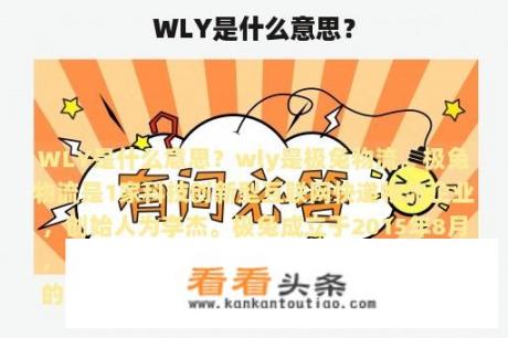 WLY是什么意思？