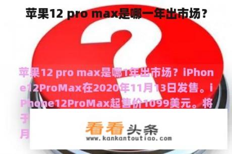 苹果12 pro max是哪一年出市场？