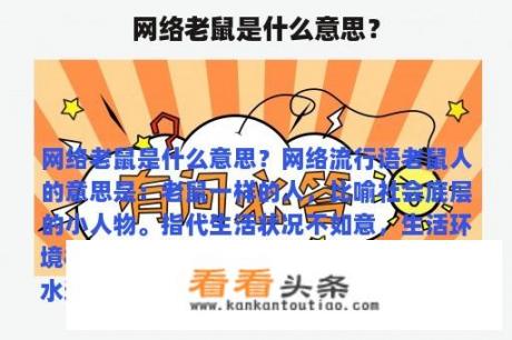 网络老鼠是什么意思？