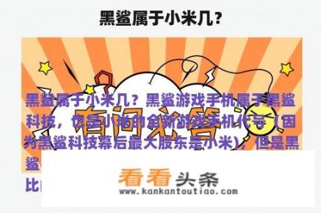 黑鲨属于小米几？