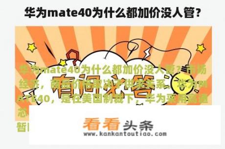 华为mate40为什么都加价没人管？