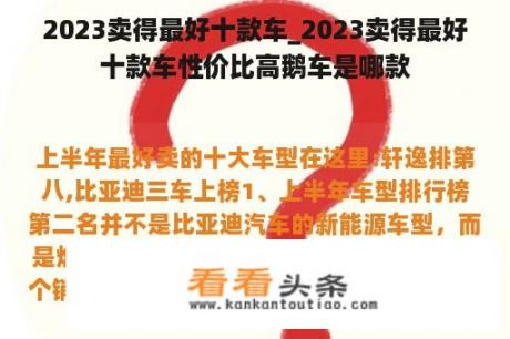 2023卖得最好十款车_2023卖得最好十款车性价比高鹅车是哪款