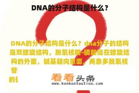 DNA的分子结构是什么？