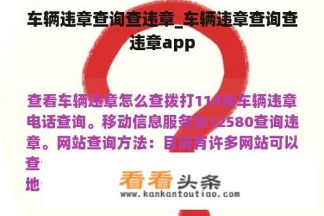 车辆违章查询查违章_车辆违章查询查违章app