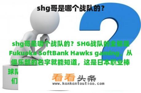 shg哥是哪个战队的？