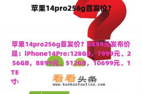 苹果14pro256g首发价？