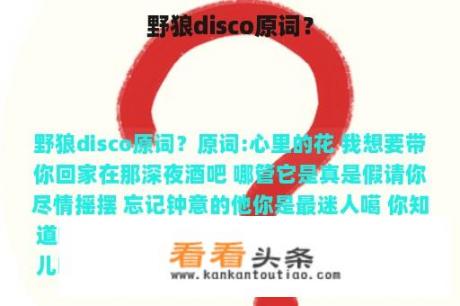 野狼disco原词？