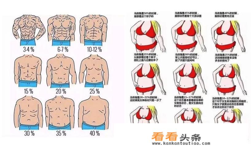 体脂率怎么算？